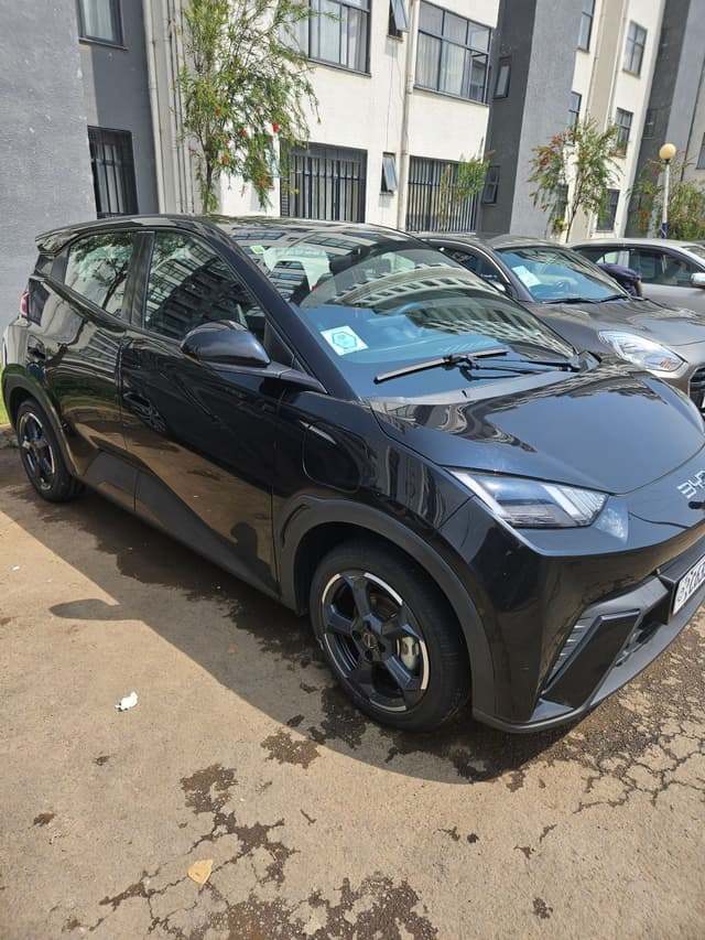 BYD SEAGULL 2024
