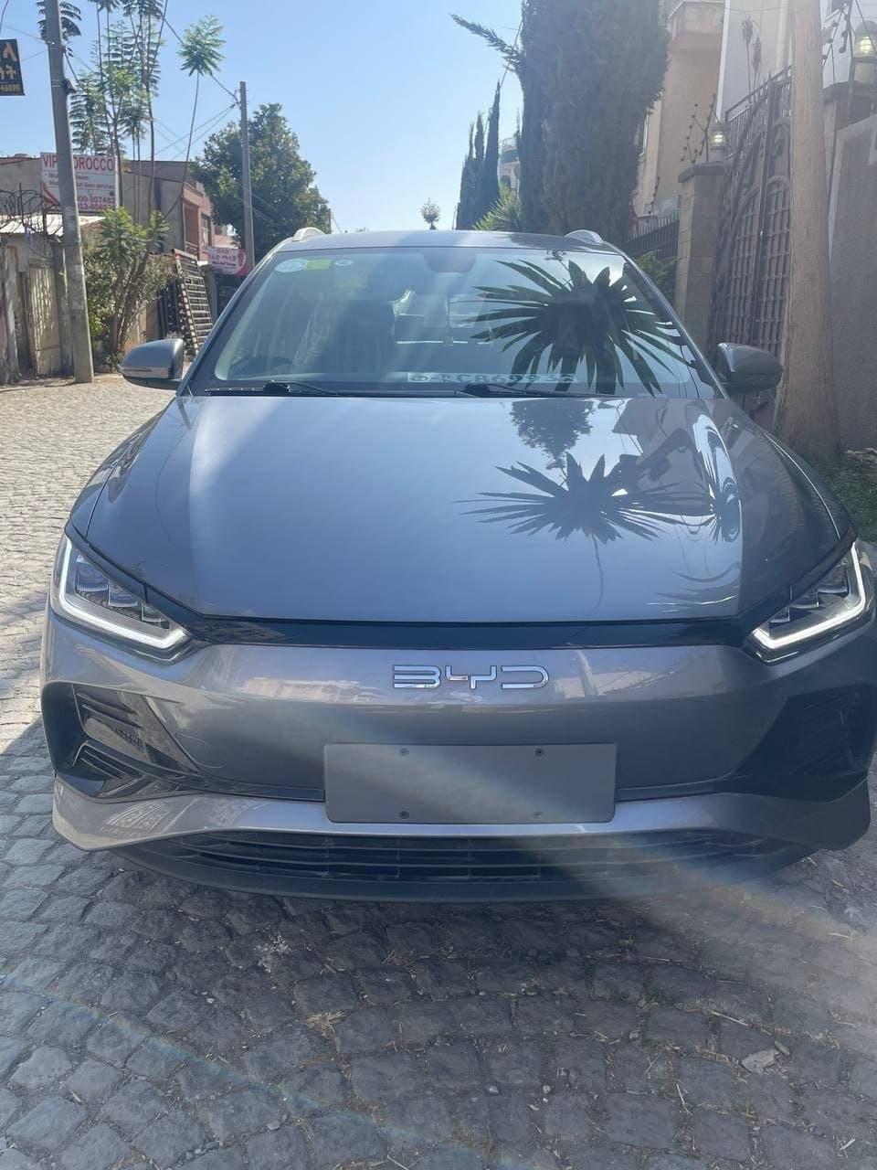 BYD E2