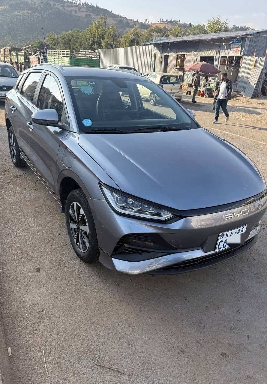 BYD E2, 2024, Electric, 2024.