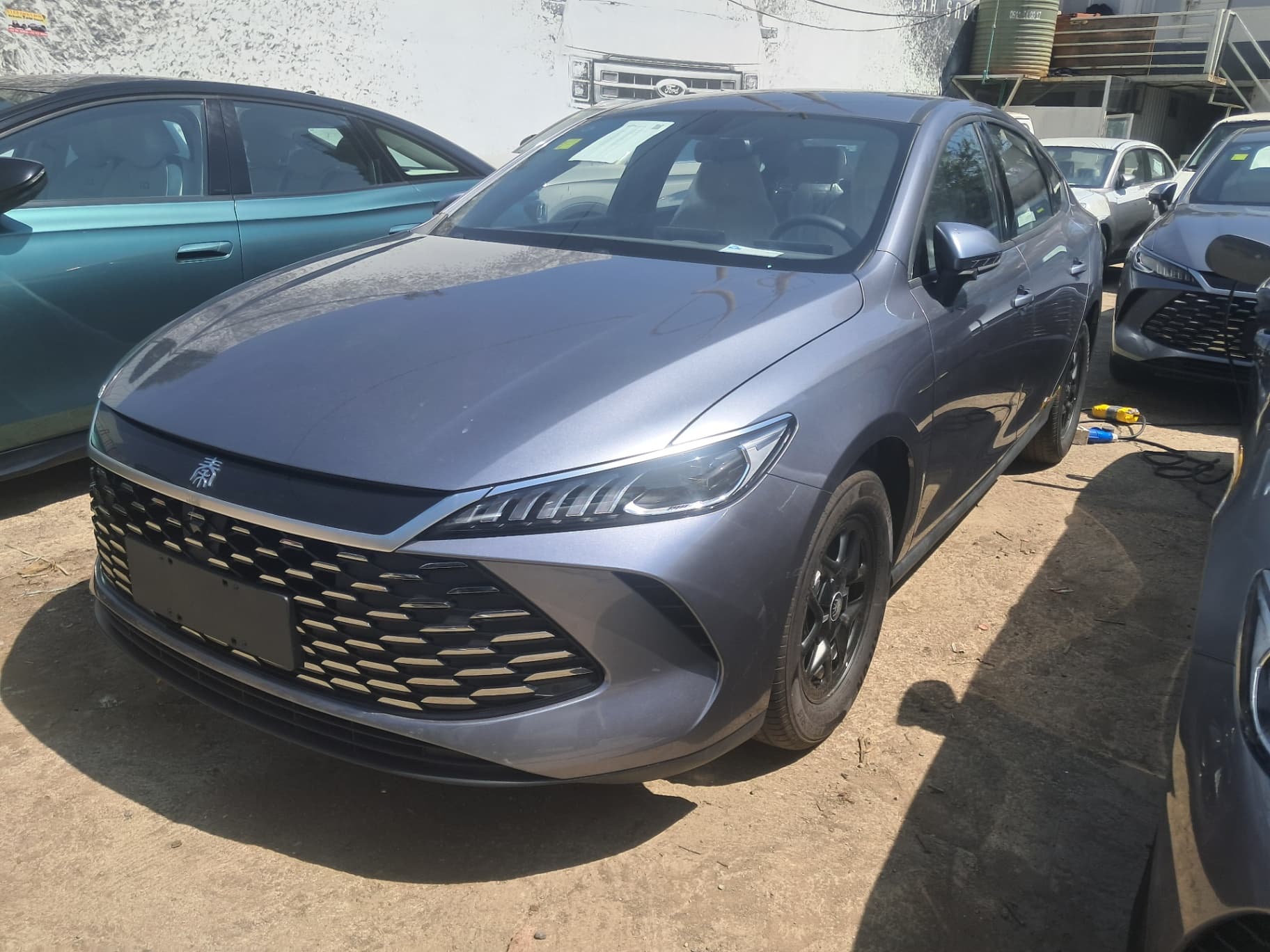 B6d qin plus 2025