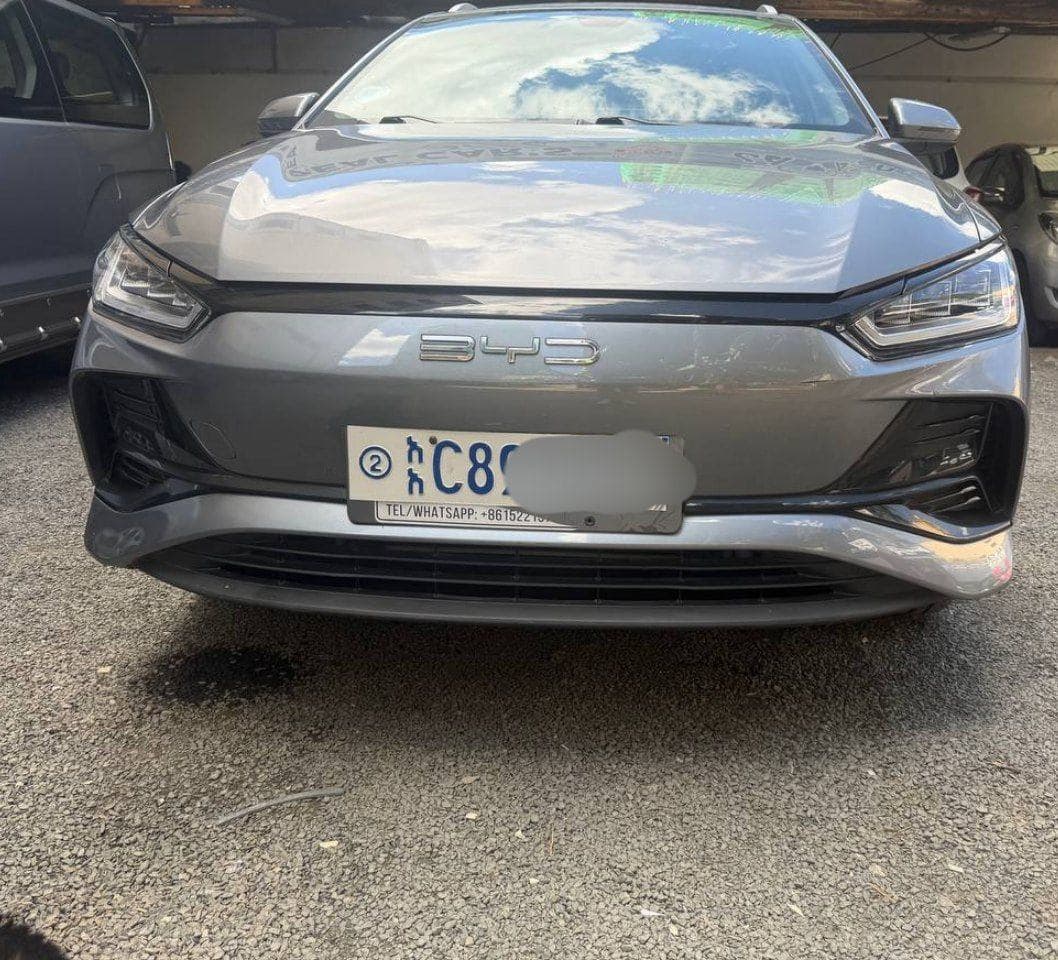 BYD E2
