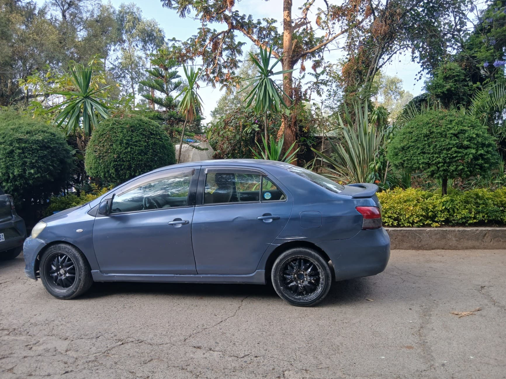 Yaris belta
